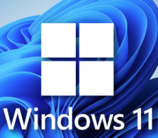 Windows 11